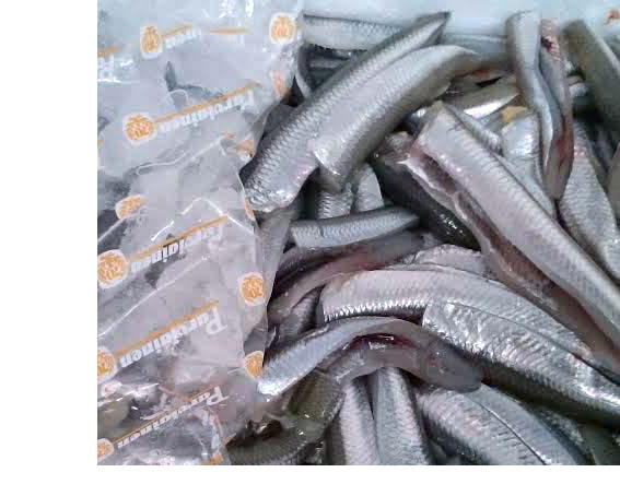 Rinsed Fish