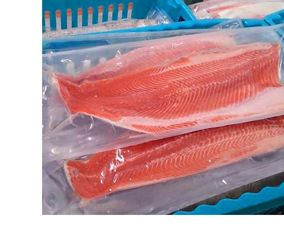 Vacumed Salmon